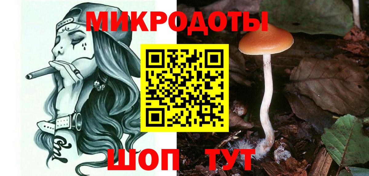 Дедовск  Галлюциногенные грибы Psilocybe  Вход с VPN 
