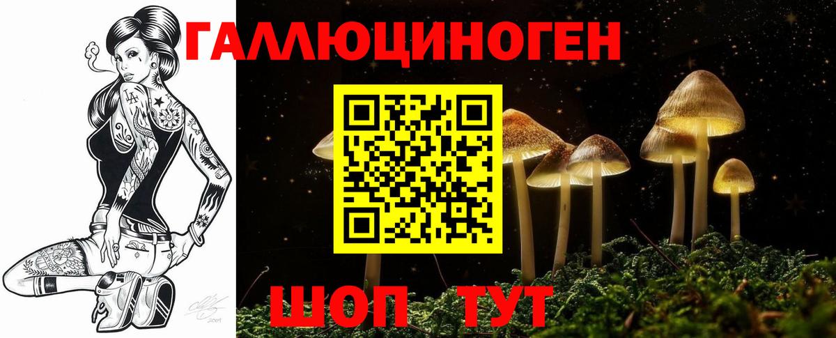 Псилоцибиновые грибы Cubensis Дедовск